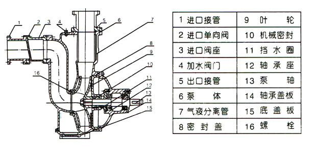 ZWB防爆自吸式無堵塞排污泵（結(jié)構(gòu)圖）